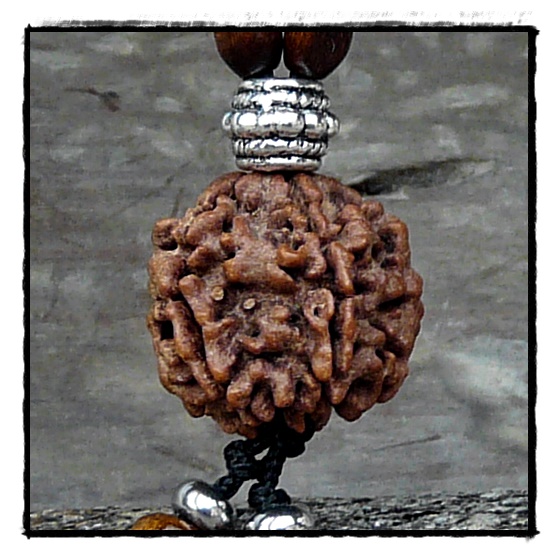 Kette mit Rudraksha Perle Himalife