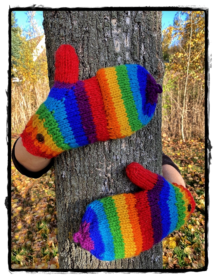 Armstulpen Regenbogen mit Kappe