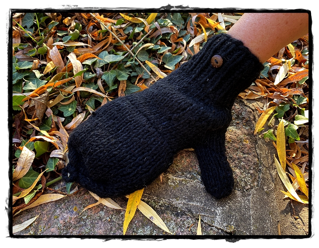 Handschuhe schwarz mit Fingerkappe