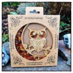 Lichtfänger Eule aus Bernstein