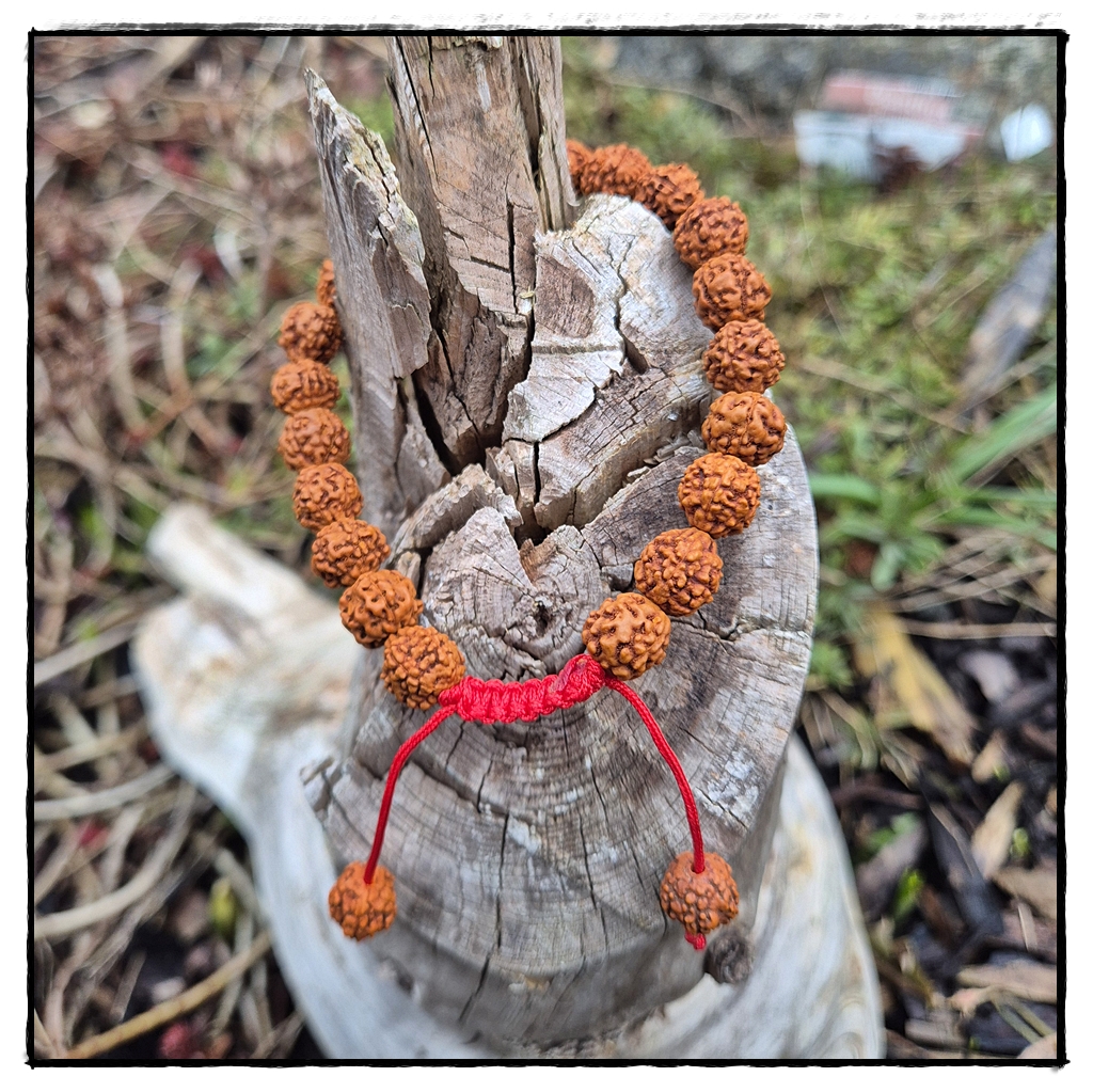Rudraksha Armband